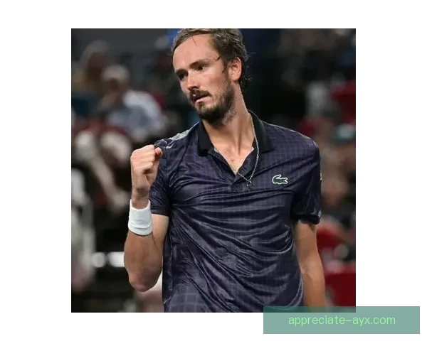 梅德韦杰夫逆转战胜德约科维奇 获得2026年澳网男单冠军